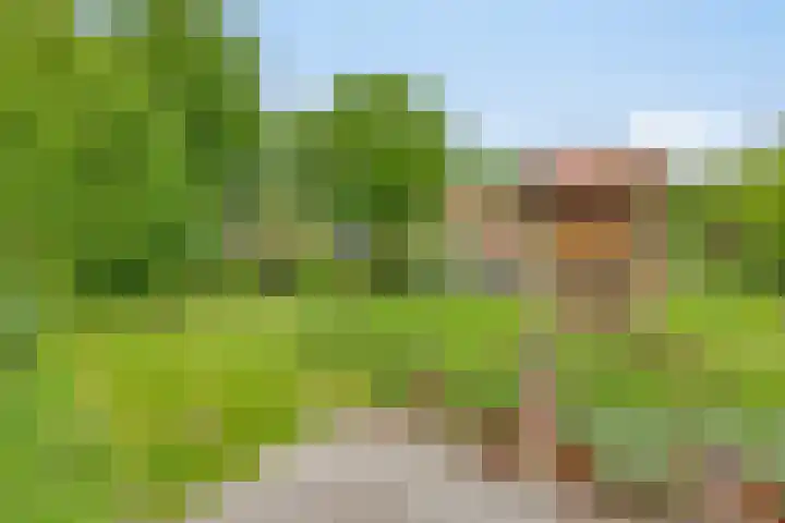 Boterveen 13 Dwingeloo thumbnail 63