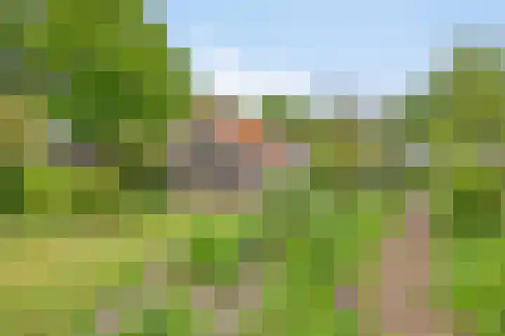Boterveen 13 Dwingeloo thumbnail 65