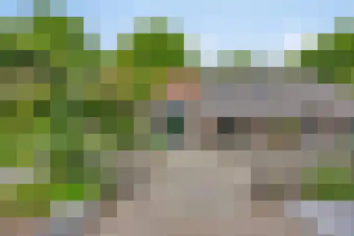 Boterveen 13 Dwingeloo thumbnail 66