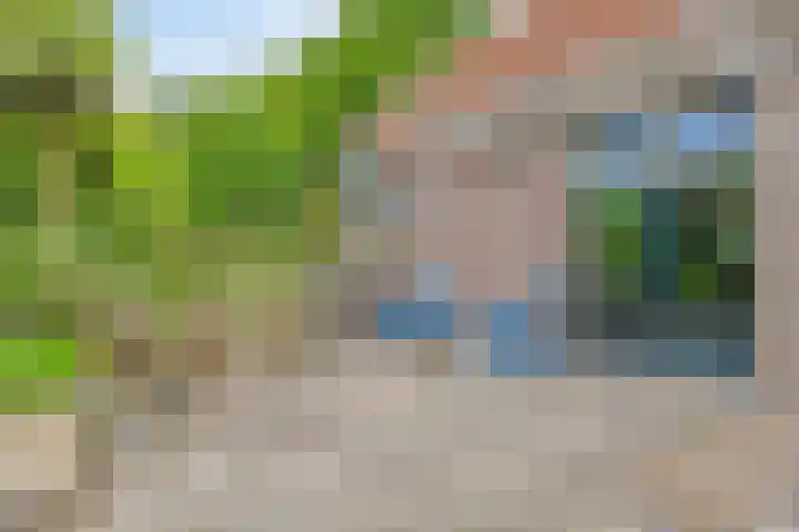 Boterveen 13 Dwingeloo thumbnail 67