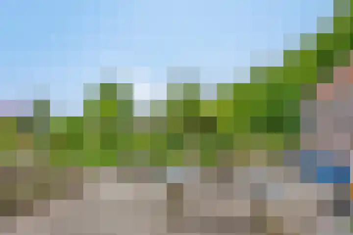 Boterveen 13 Dwingeloo thumbnail 68