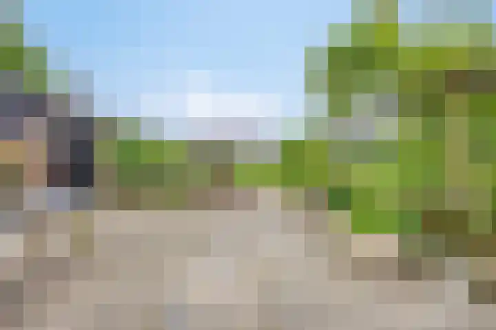 Boterveen 13 Dwingeloo thumbnail 69