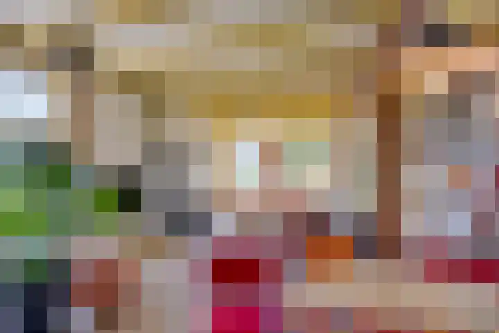 Boterveen 13 Dwingeloo thumbnail 7
