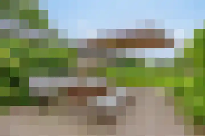 Boterveen 13 Dwingeloo thumbnail 70