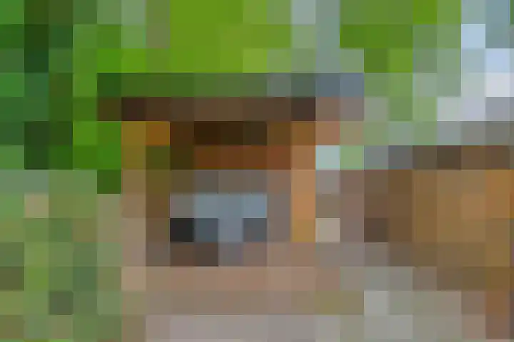 Boterveen 13 Dwingeloo thumbnail 73