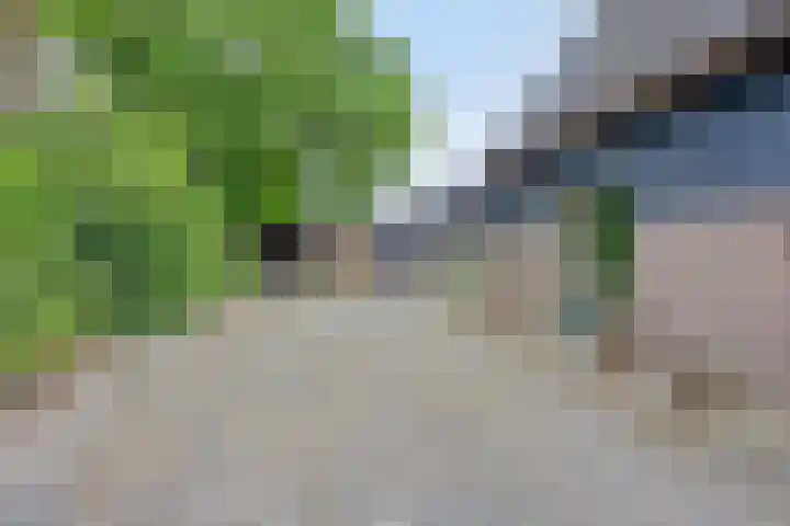 Boterveen 13 Dwingeloo thumbnail 74