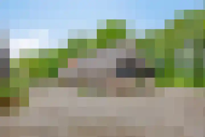 Boterveen 13 Dwingeloo thumbnail 75