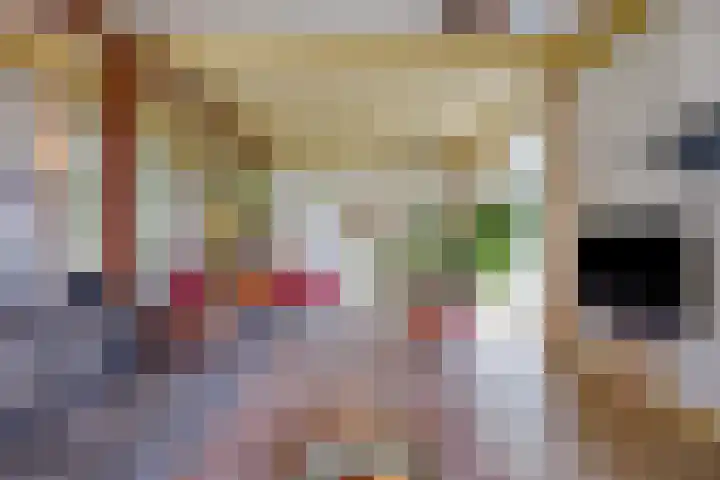 Boterveen 13 Dwingeloo thumbnail 9