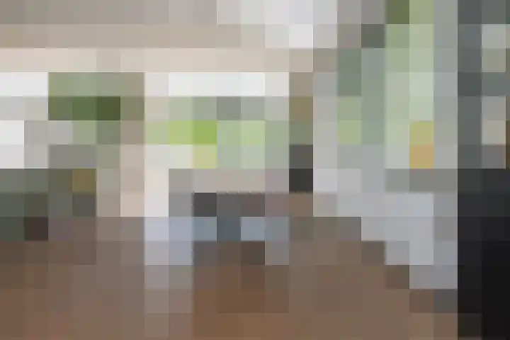 Boterweg 10 Loenen thumbnail 10
