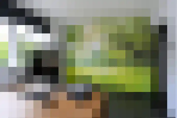 Boterweg 10 Loenen thumbnail 15
