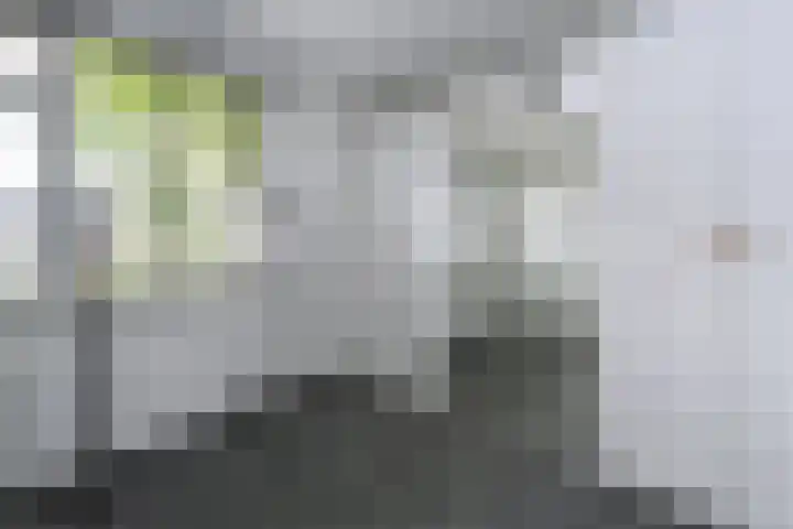 Boterweg 10 Loenen thumbnail 20