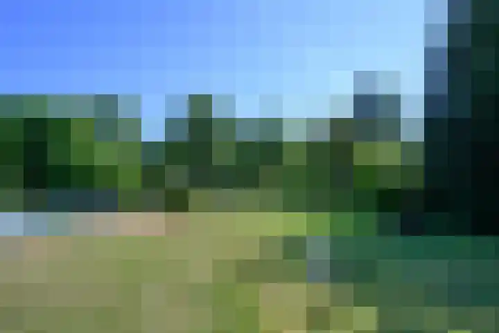 Boterweg 10 Loenen thumbnail 32