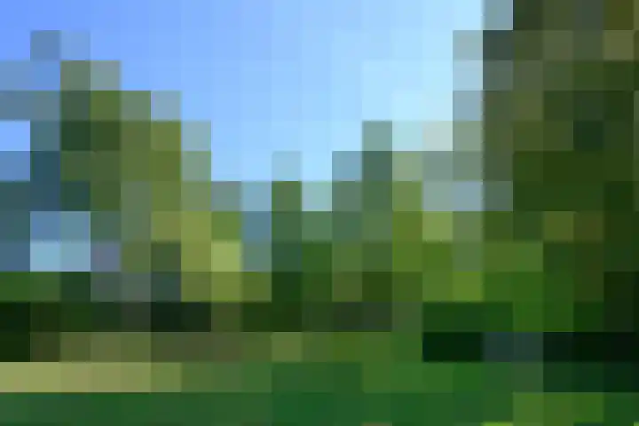 Boterweg 10 Loenen thumbnail 33