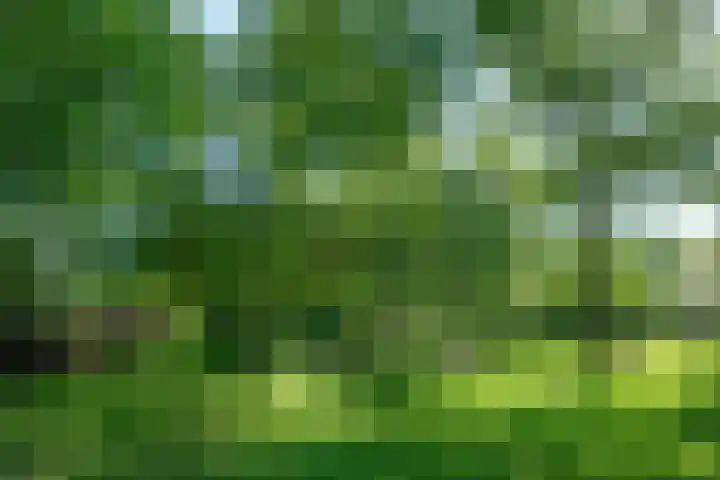 Boterweg 10 Loenen thumbnail 35