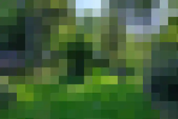 Boterweg 10 Loenen thumbnail 36