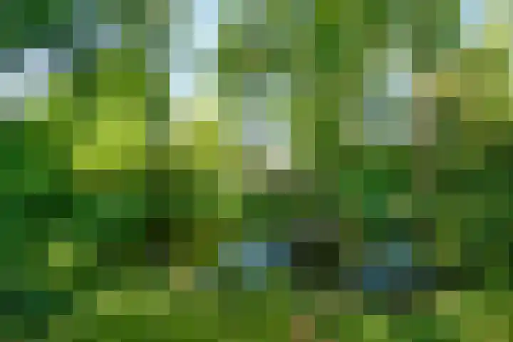 Boterweg 10 Loenen thumbnail 37