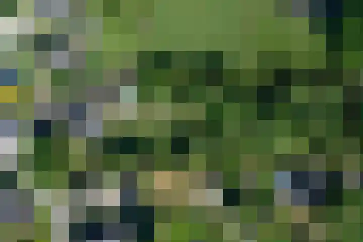 Boterweg 10 Loenen thumbnail 38