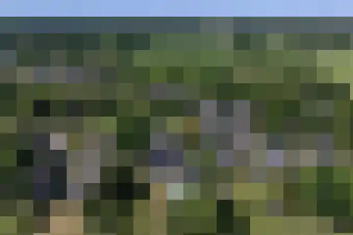 Boterweg 10 Loenen thumbnail 39