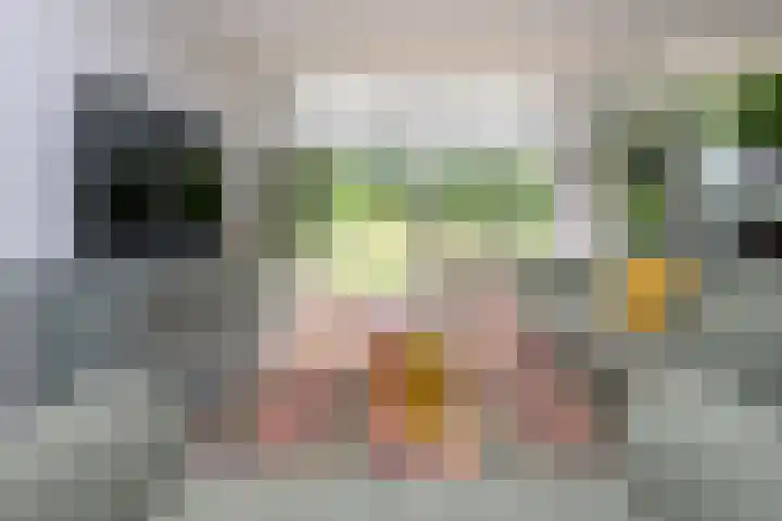Boterweg 10 Loenen thumbnail 8