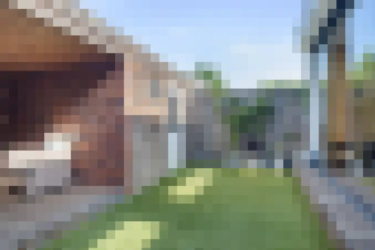 Boterweg 19 Boekel thumbnail 23