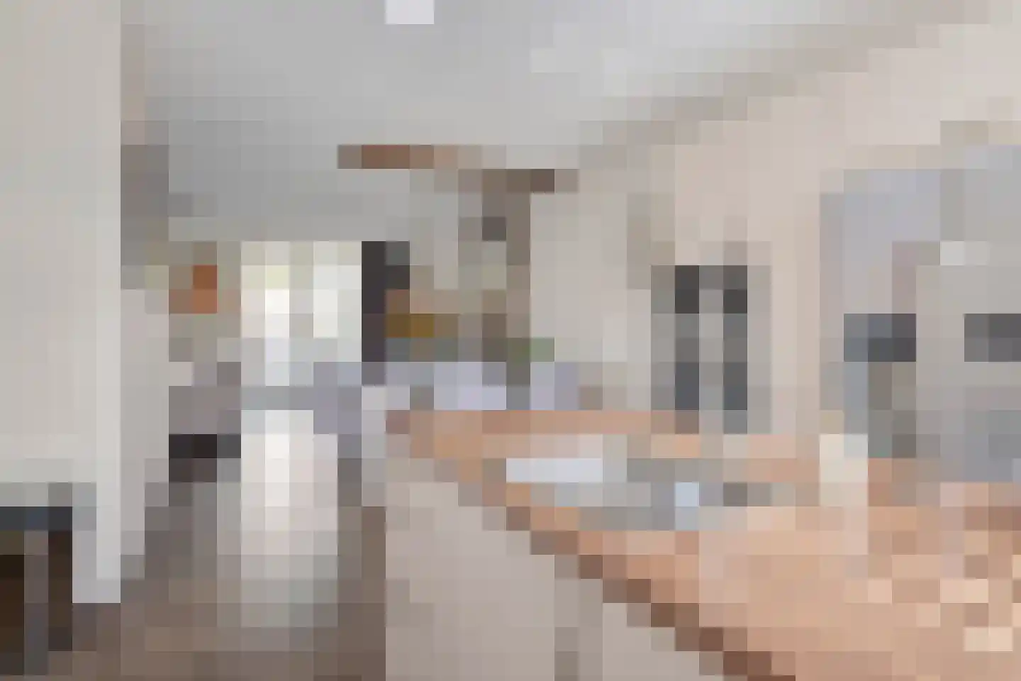 Boterweg 19 Boekel thumbnail 5