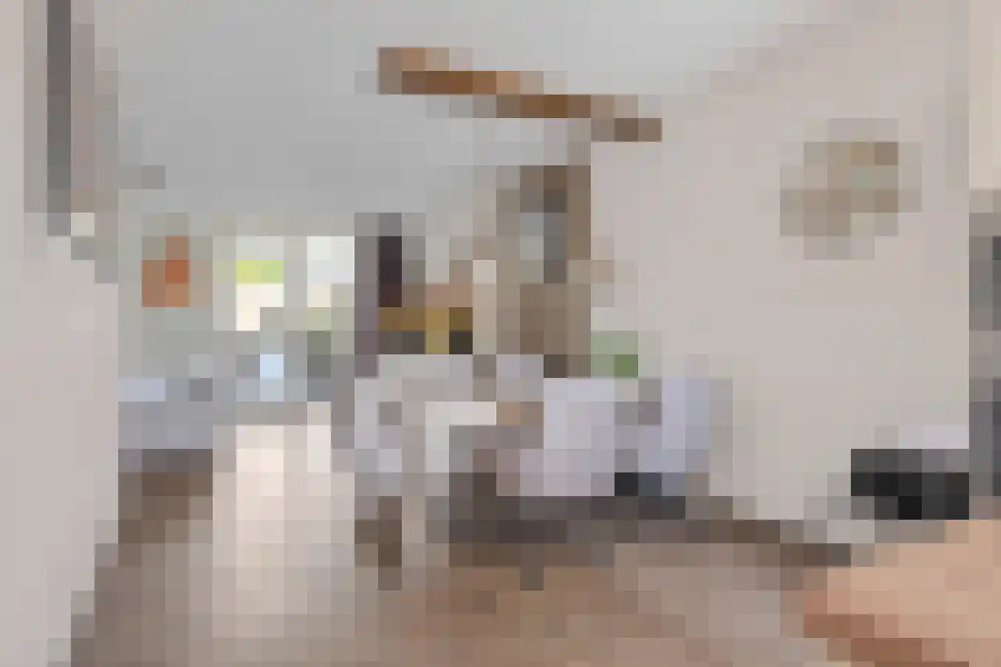 Boterweg 19 Boekel thumbnail 6
