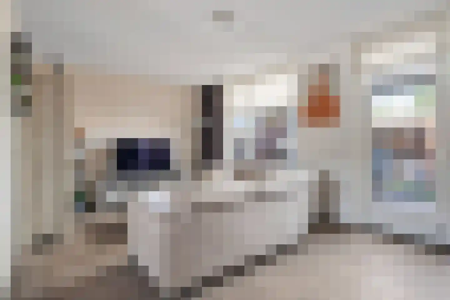 Boterweg 19 Boekel thumbnail 8