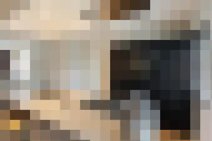 Boterweg 20 Boekel thumbnail 12