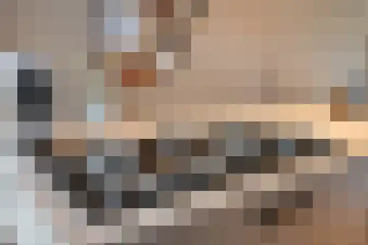 Boterweg 20 Boekel thumbnail 14