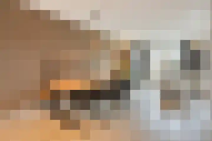 Boterweg 20 Boekel thumbnail 17