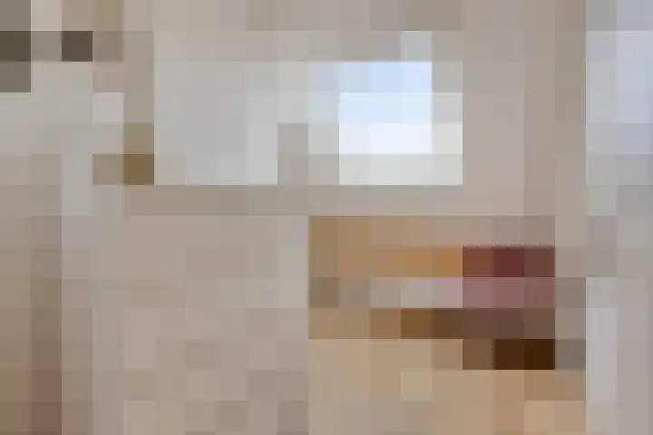 Boterweg 20 Boekel thumbnail 25