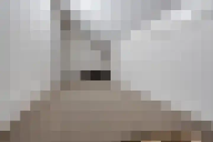 Boterweg 20 Boekel thumbnail 28