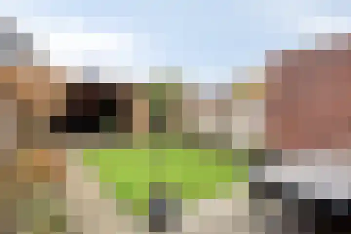Boterweg 20 Boekel thumbnail 31