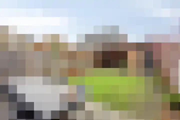 Boterweg 20 Boekel thumbnail 32