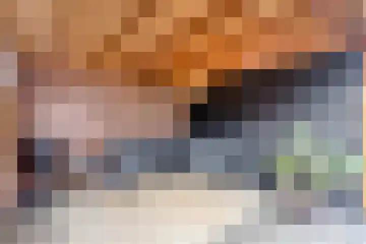 Boterweg 20 Boekel thumbnail 33