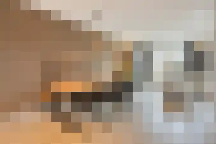 Boterweg 20 Boekel thumbnail 4