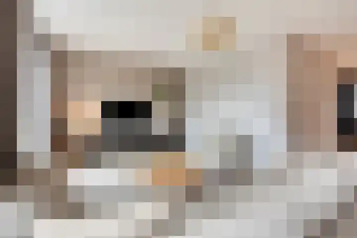 Boterweg 20 Boekel thumbnail 5