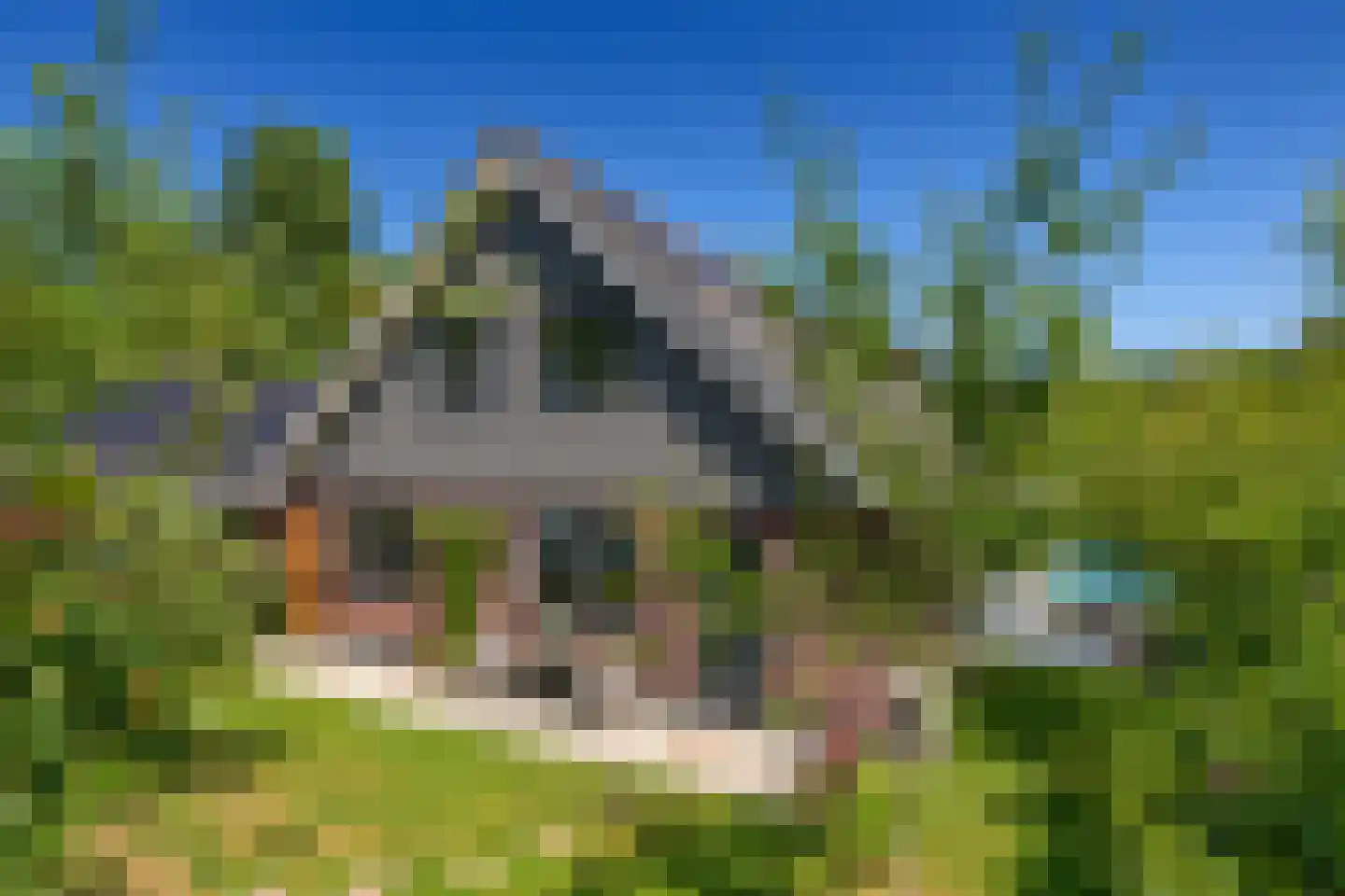Boterweg 21 Loenen thumbnail 4
