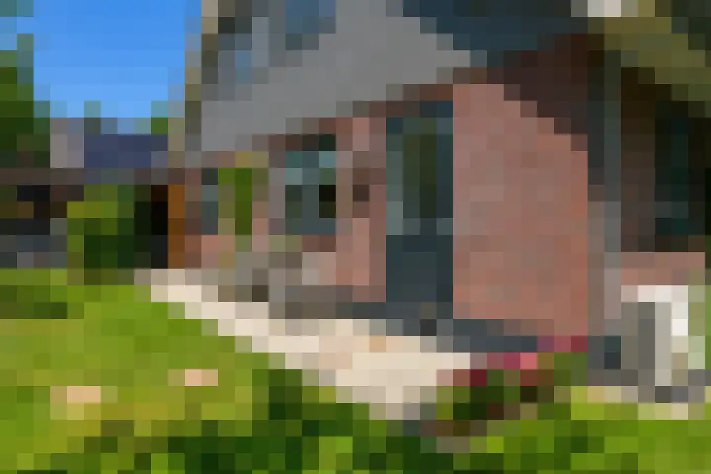 Boterweg 21 Loenen thumbnail 50