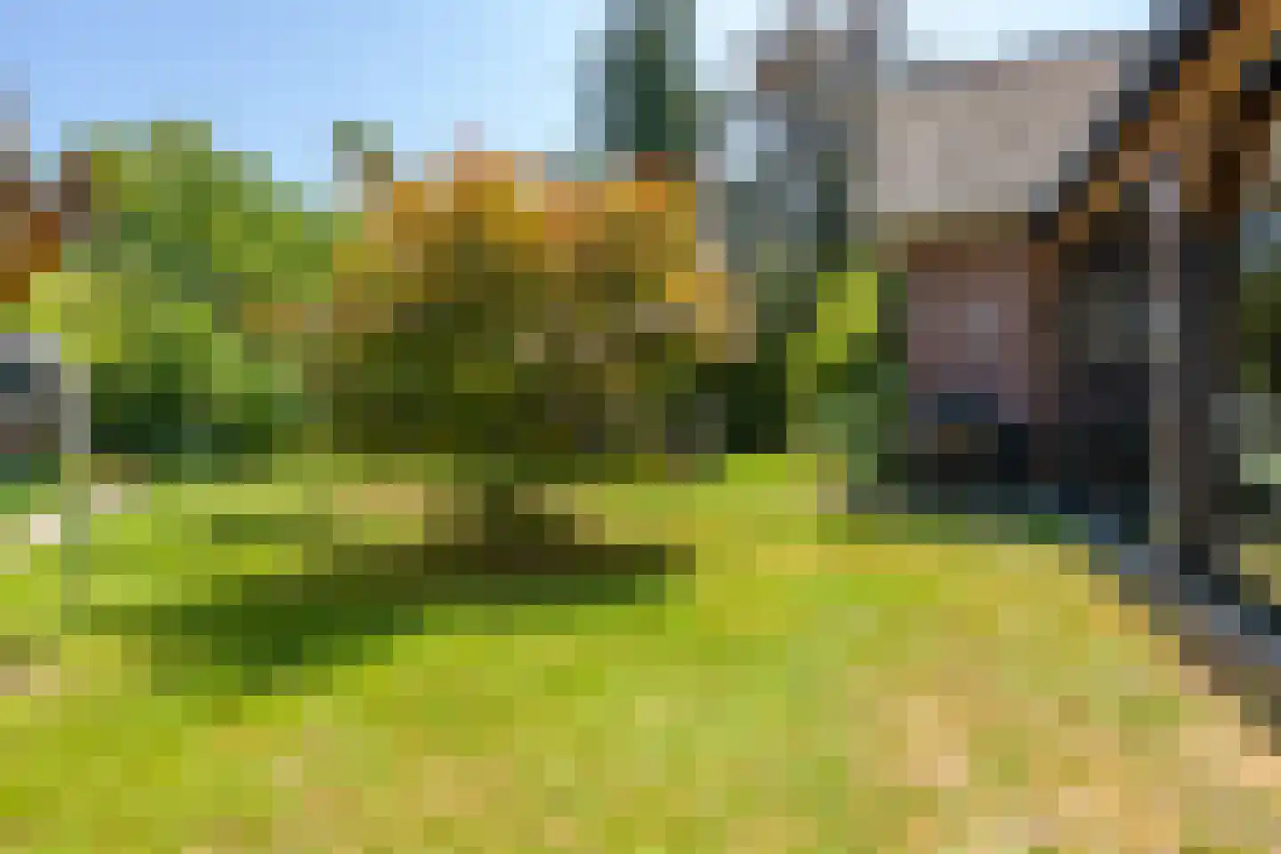 Boterweg 21 Loenen thumbnail 62