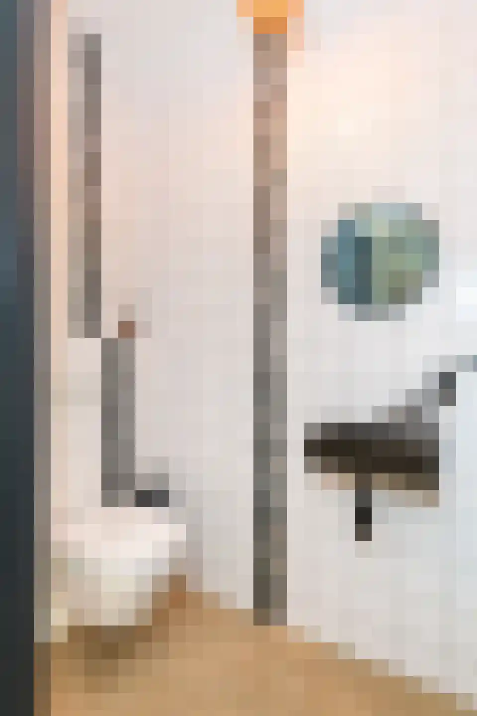Boterweg 21 Loenen thumbnail 8