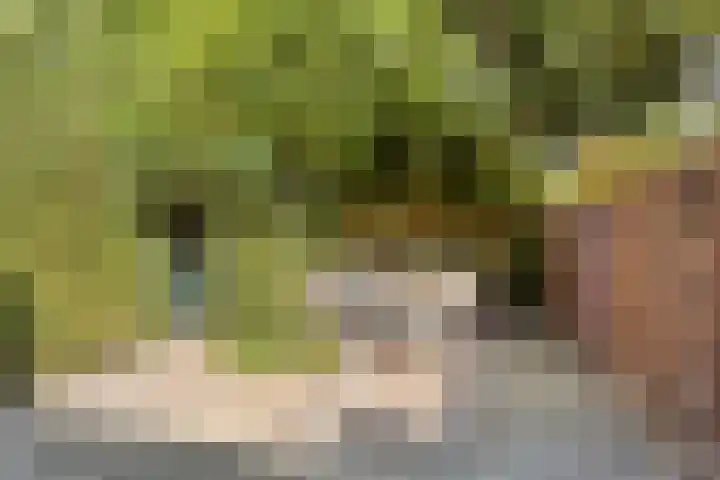 Boterweg 26 's-Hertogenbosch thumbnail 12