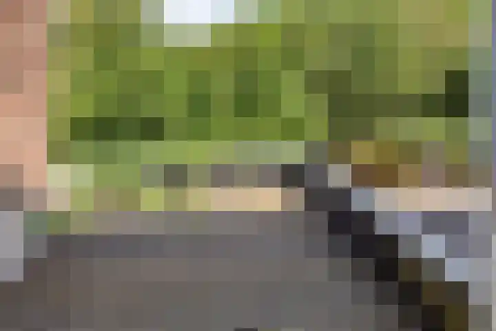 Boterweg 26 's-Hertogenbosch thumbnail 19