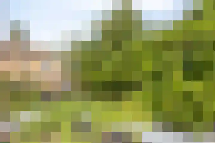 Boterweg 26 's-Hertogenbosch thumbnail 20