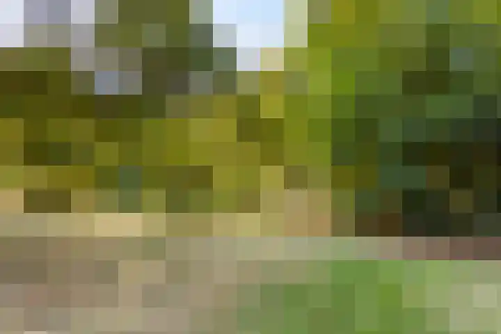 Boterweg 26 's-Hertogenbosch thumbnail 27