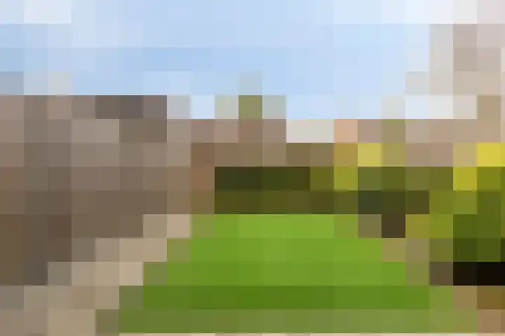 Boterweg 41 Boekel thumbnail 30