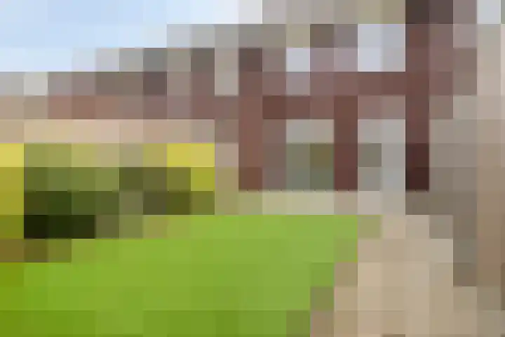 Boterweg 41 Boekel thumbnail 32