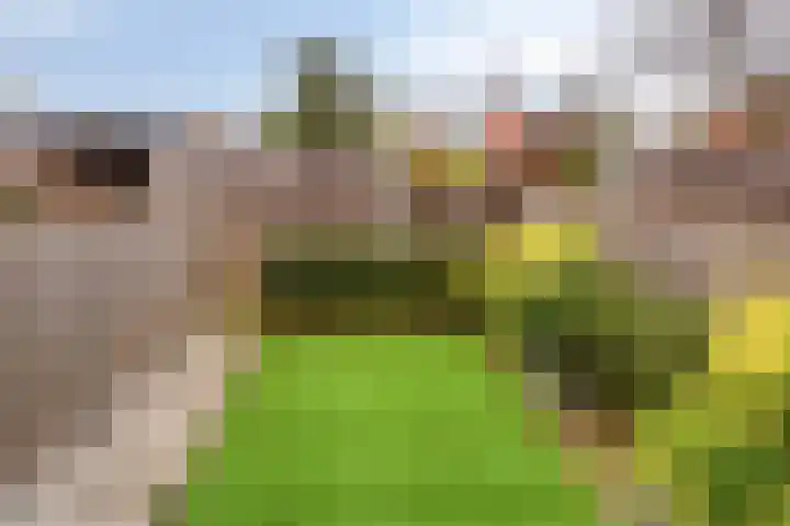 Boterweg 41 Boekel thumbnail 33