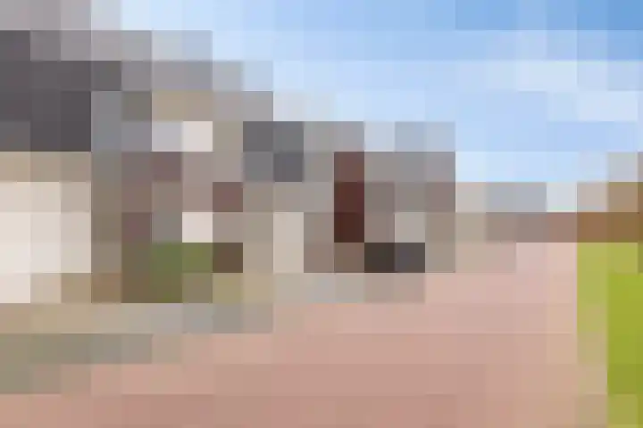 Boterweg 41 Boekel thumbnail 5