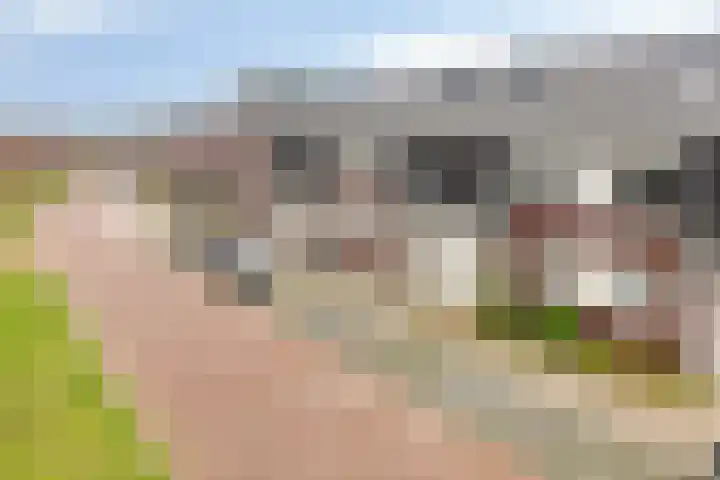 Boterweg 41 Boekel thumbnail 8